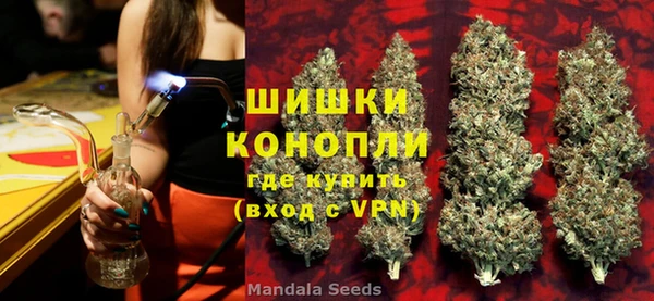 стаф Карпинск