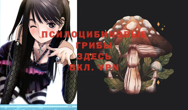скорость Карталы