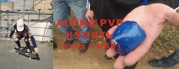 стаф Карпинск