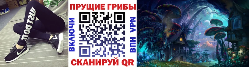 Псилоцибиновые грибы Magic Shrooms  Купить  Богданович 