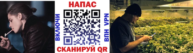 Шишки марихуана SATIVA & INDICA  Купить  Богданович 